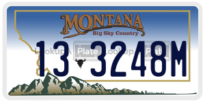 133248M  license plate in MT