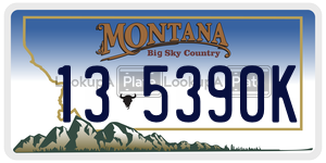 135390K  license plate in MT