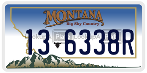 136338R  license plate in MT