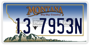 137953N license plate in Montana