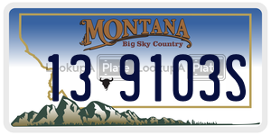 139103S  license plate in MT