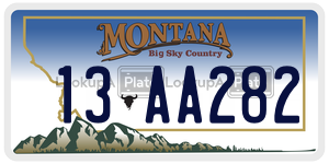 13AA282  license plate in MT