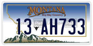 13AH733  license plate in MT