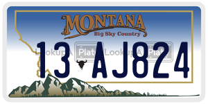 13AJ824  license plate in MT