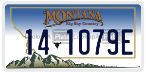 141079E  license plate in MT