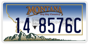 148576C  license plate in MT