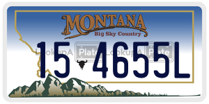 154655L  license plate in MT