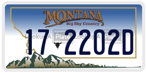 172202D  license plate in MT