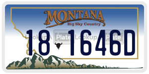 181646D  license plate in MT