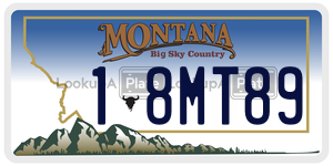 18MT89  license plate in MT