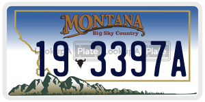 193397A  license plate in MT