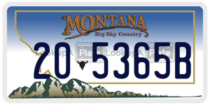 205365B  license plate in MT