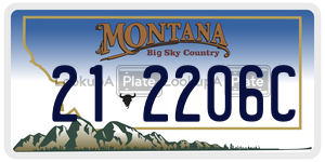 212206C  license plate in MT