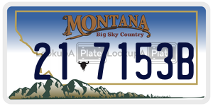 217153B  license plate in MT