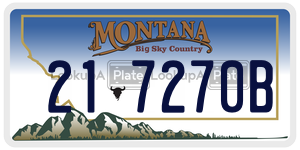 217270B license plate in Montana