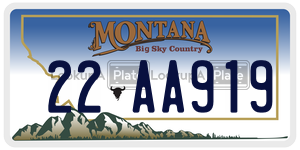 22AA919  license plate in MT