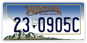 230905C  license plate in MT