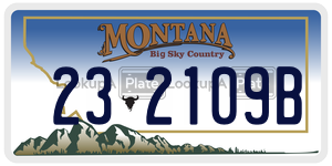 232109B license plate in Montana