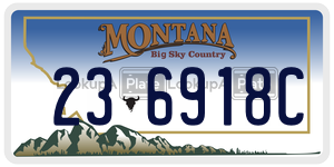 236918C  license plate in MT