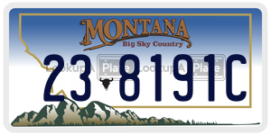 238191C  license plate in MT