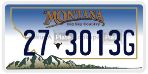 273013G  license plate in MT