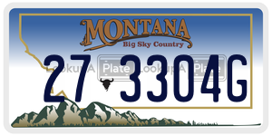 273304G  license plate in MT