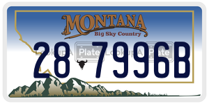 287996B  license plate in MT