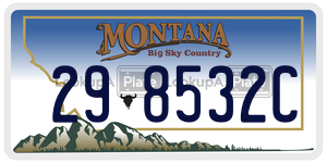 298532C  license plate in MT