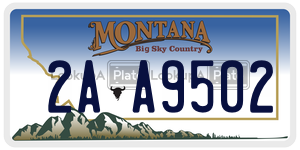 2AA9502  license plate in MT