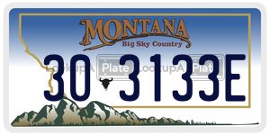 303133E  license plate in MT