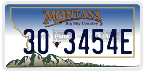 303454E  license plate in MT