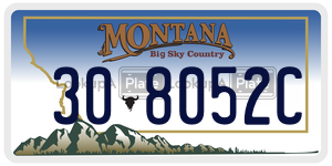 308052C  license plate in MT