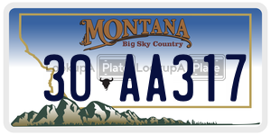 30AA317  license plate in MT
