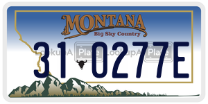 310277E  license plate in MT