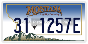 311257E  license plate in MT