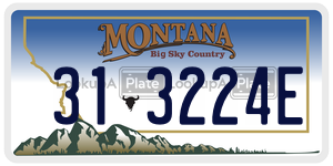 313224E  license plate in MT
