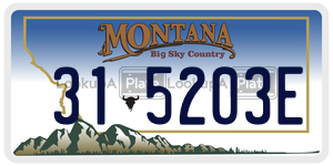315203E  license plate in MT