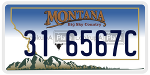 316567C  license plate in MT