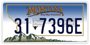 317396E  license plate in MT