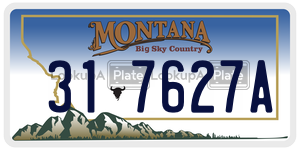 317627A  license plate in MT