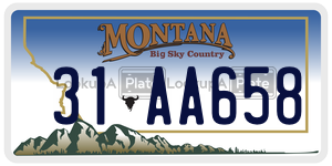 31AA658  license plate in MT