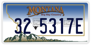 325317E  license plate in MT