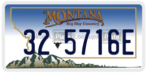 325716E  license plate in MT