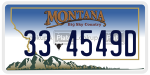 334549D  license plate in MT