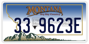 339623E  license plate in MT