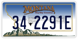 342291E  license plate in MT