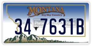 347631B  license plate in MT