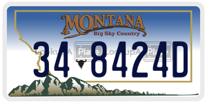 348424D  license plate in MT