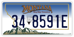348591E  license plate in MT