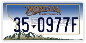 350977F  license plate in MT